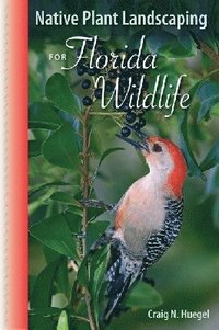 bokomslag Native Plant Landscaping for Florida Wildlife