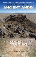 bokomslag Hillforts Of The Ancient Andes