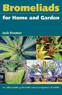 bokomslag Bromeliads for Home and Garden