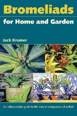 bokomslag Bromeliads for Home and Garden
