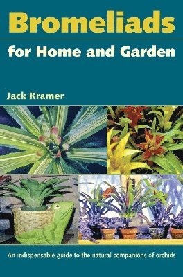 bokomslag Bromeliads For Home And Garden