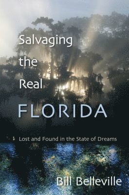 bokomslag Salvaging The Real Florida