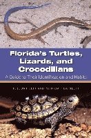 bokomslag Florida's Turtles, Lizards, and Crocodilians