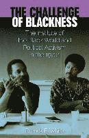 Derrick E. White, Derrick E White - Challenge of Blackness, Inbunden