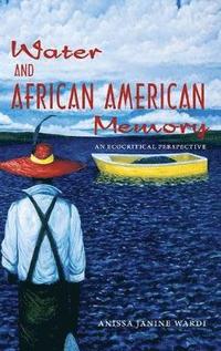 bokomslag Water and African American Memory