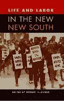 bokomslag Life and Labor in the New New South