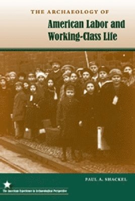 The Archaeology of American Labor and Working-Class Life 1