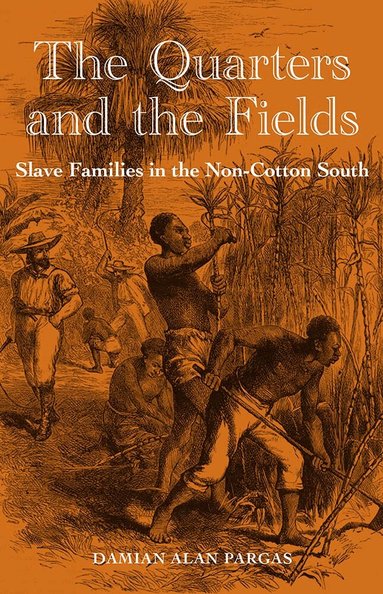 Damian Alan Pargas - Quarters and the Fields, Häftad