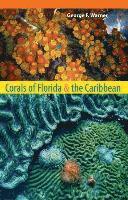 bokomslag Corals of Florida and the Caribbean