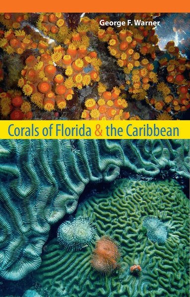 George F. Warner - Corals of Florida and the Caribbean, Häftad