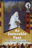 bokomslag Incurable Past