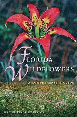 Florida Wildflowers 1