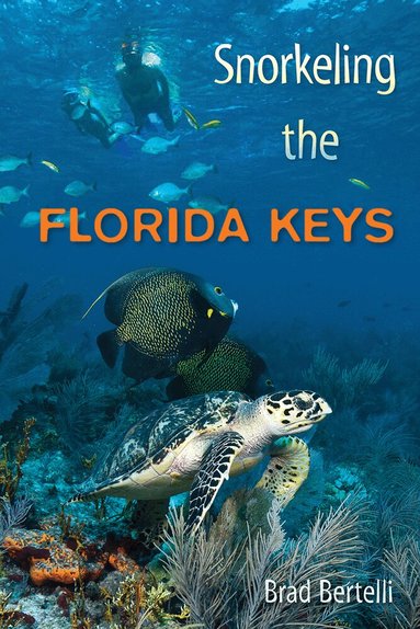 Brad Bertelli - Snorkeling the Florida Keys, Häftad