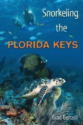 Snorkeling the Florida Keys 1