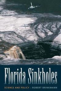 bokomslag Florida Sinkholes