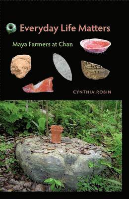 Cynthia Robin - Everyday Life Matters, Inbunden