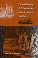 bokomslag Bioarchaeology of Ethnogenesis in the Colonial Southeast