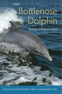 bokomslag The Bottlenose Dolphin