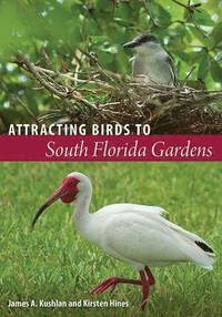 bokomslag Attracting Birds to South Florida Gardens