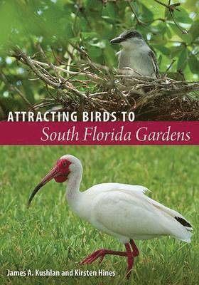 Attracting Birds to South Florida Gardens 1