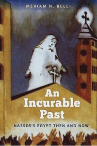 bokomslag Incurable Past