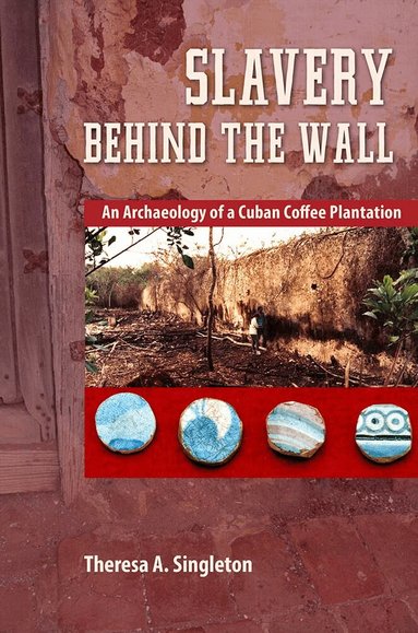 Theresa A. Singleton - Slavery Behind the Wall, Häftad