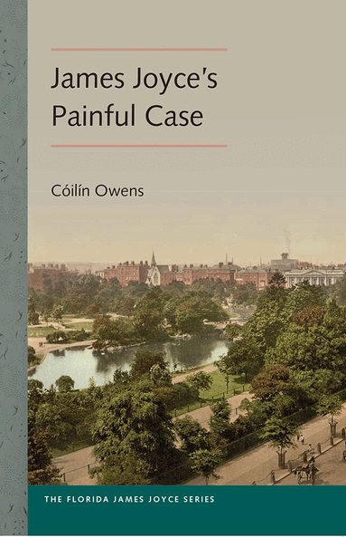 Cóilín Owens - James Joyce's Painful Case, Häftad