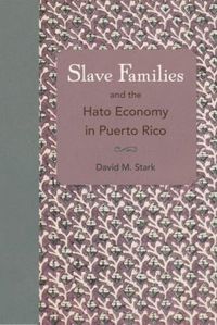 bokomslag Slave Families and the Hato Economy in Puerto Rico