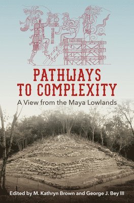 bokomslag Pathways to Complexity