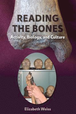Elizabeth Weiss - Reading the Bones, Inbunden