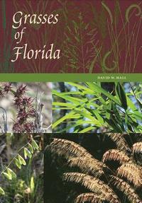 bokomslag Grasses of Florida