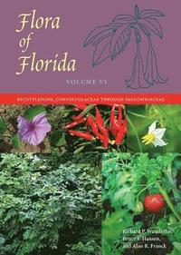 bokomslag Flora of Florida, Volume VI