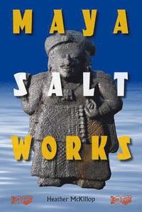 bokomslag Maya Salt Works