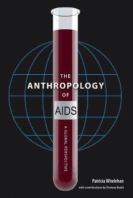 bokomslag Anthropology of AIDS