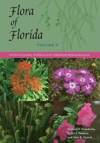 bokomslag Flora of Florida, Volume V