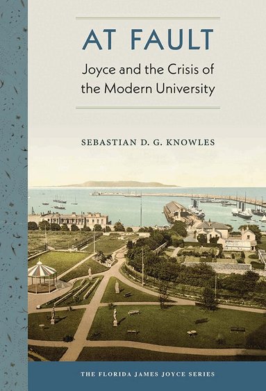 Sebastian D.G. Knowles - At Fault, Inbunden