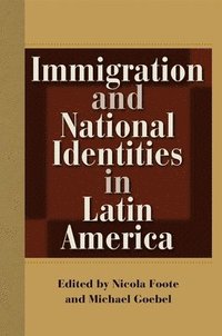 bokomslag Immigration and National Identities in Latin America