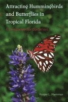 bokomslag Attracting Hummingbirds and Butterflies in Tropical Florida