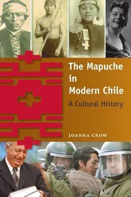 bokomslag The Mapuche in Modern Chile