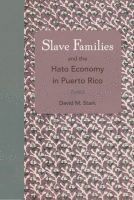 bokomslag Slave Families and the Hato Economy in Puerto Rico