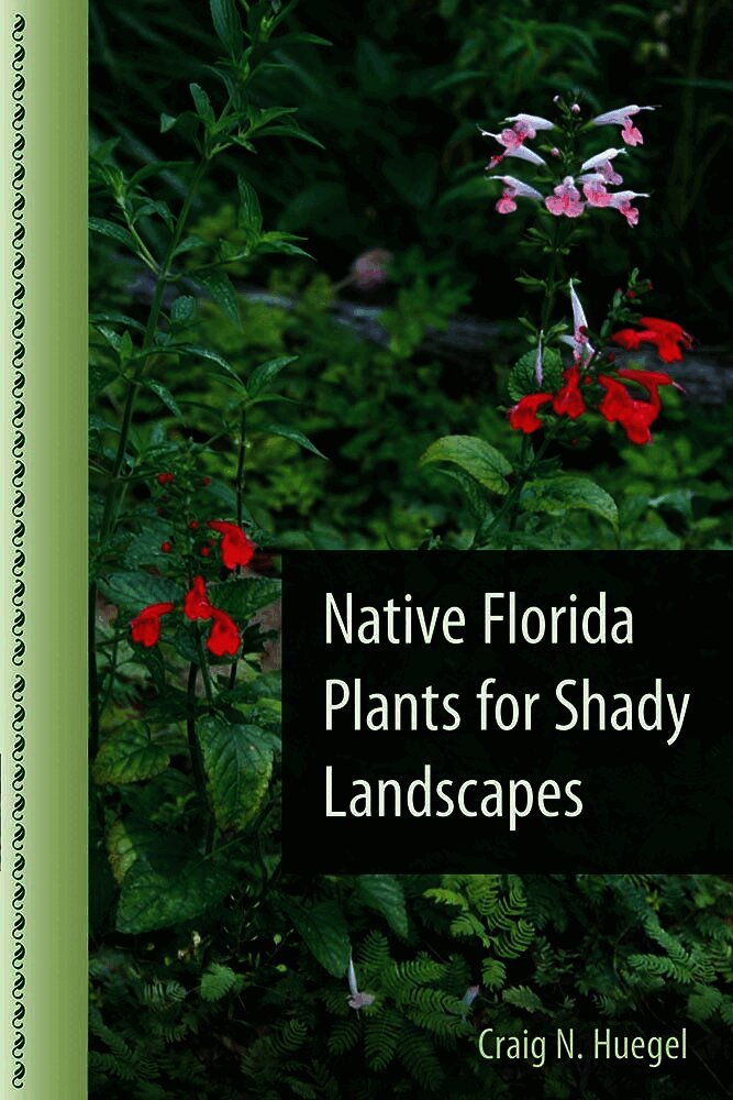 Native Florida Plants for Shady Landscapes