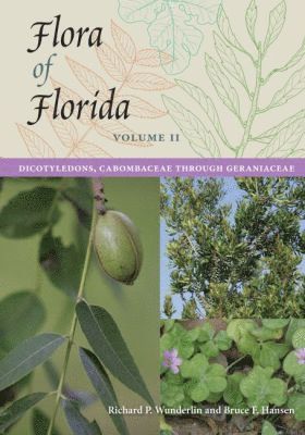 bokomslag Flora of Florida, Volume II