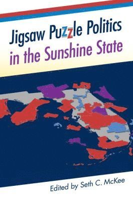 bokomslag Jigsaw Puzzle Politics in the Sunshine State