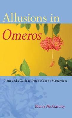 Maria McGarrity - Allusions in "Omeros, Häftad