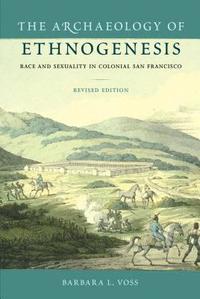 bokomslag The Archaeology of Ethnogenesis