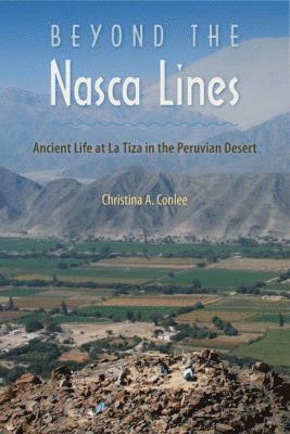 bokomslag Beyond the Nasca Lines