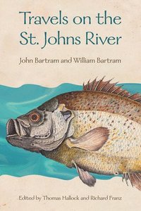 bokomslag Travels on the St. Johns River