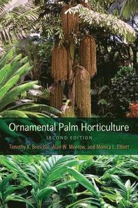 bokomslag Ornamental Palm Horticulture