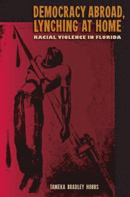 Tameka B. Hobbs, Tameka Bradley Hobbs - Democracy Abroad, Lynching at Home, Häftad