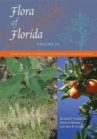 bokomslag Flora of Florida, Volume IV